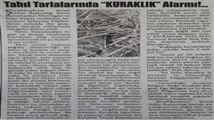 TAHIL TARLALARINDA KURAKLIK ALARMI! Başlıklı Yazımız Çetin Gazetesi ve Tuzgölü Haber'de 